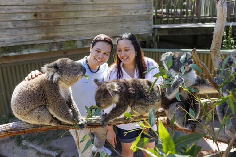 Galapagos Family Vacation: Complete Guide for Families Planning a Memorable Trip