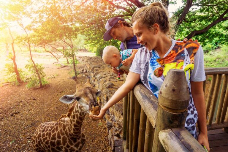Best African Safari Tours: Expert Insights, Top Operators & Real-World Experiences